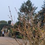 Lourdesgrotte im November