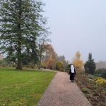 Der Weg zur Lourdesgrotte